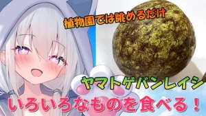 「真白くりすが色々なものを食べる!Part22 ヤマトゲバンレイシ編」 サムネイル