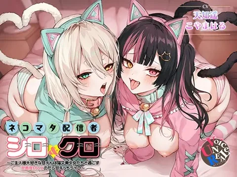 s12210.webp