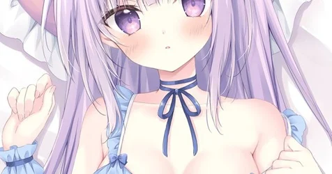s15161.webp